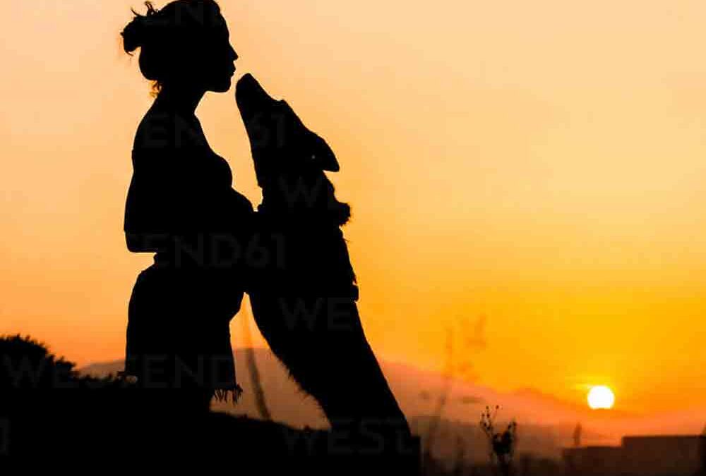 Neuer Internetauftritt