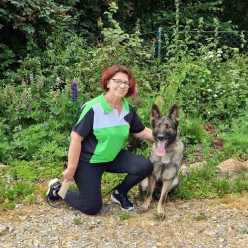 Hundetrainer steht mit einem sitzenden Deutschen Schäferhund auf einer Wiese im Freien