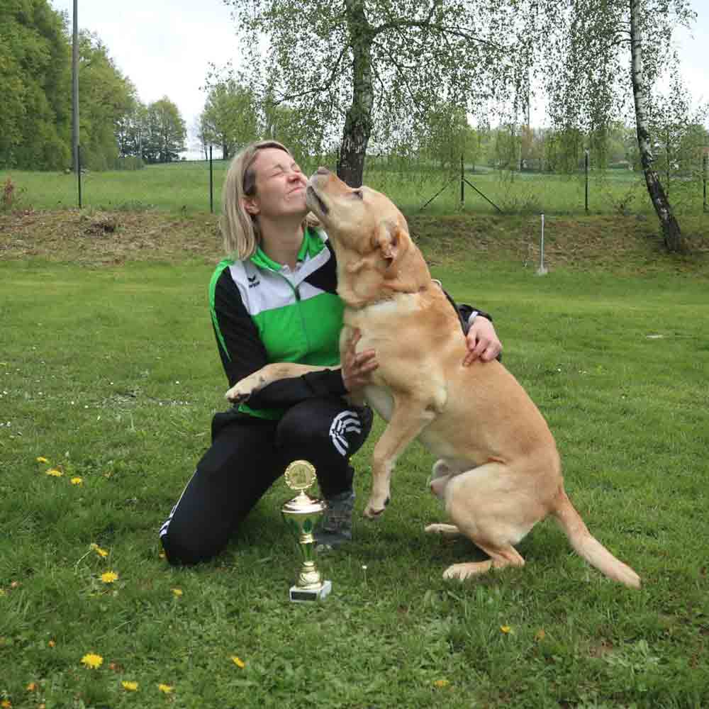 Hundetrainer steht mit einem sitzenden Deutschen Schäferhund auf einer Wiese im Freien