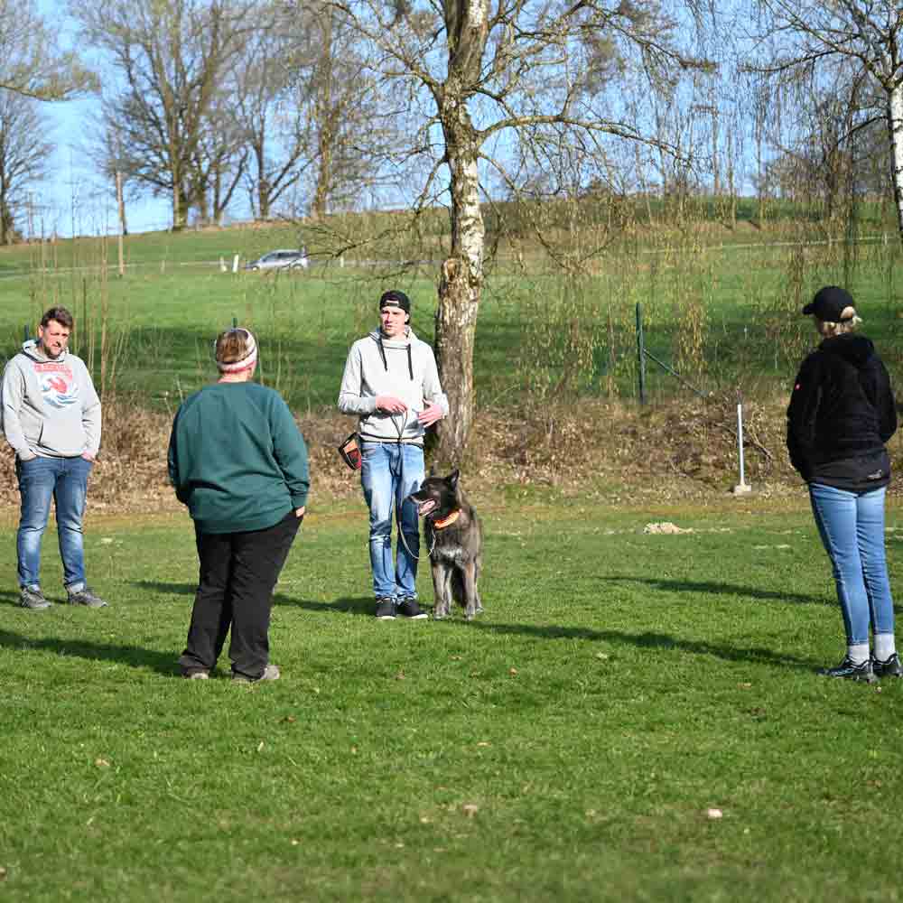 Hundetraining auf dem Übungsplatz der OG Bad Griesbach