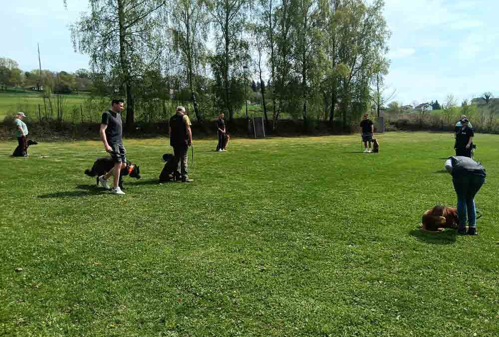 A bissl a anderer Trainingstag bei der OG Bad Griesbach