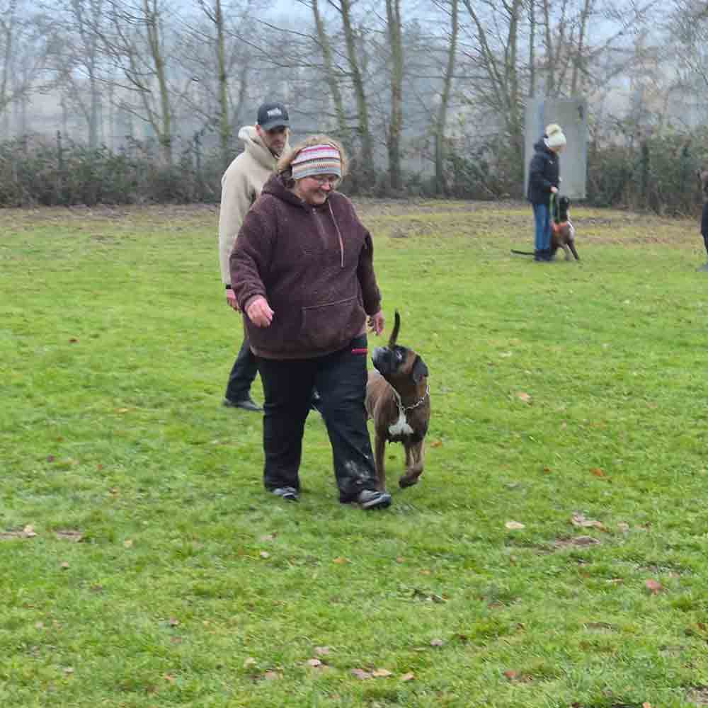 Frau trainiert mit ihrem Hund auf einer Wiese bei trübem Wetter, weitere Teilnehmer mit Hunden im Hintergrund