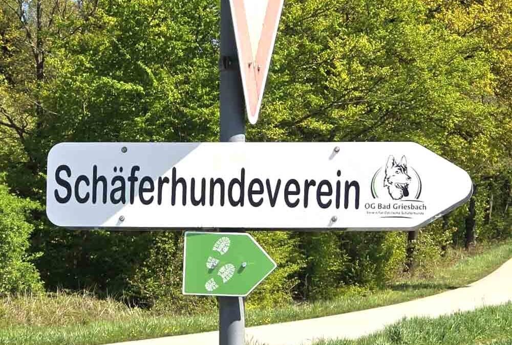 Hunde Training bei Kaiserlichen Wetter