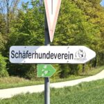 Hunde Training bei Kaiserlichen Wetter