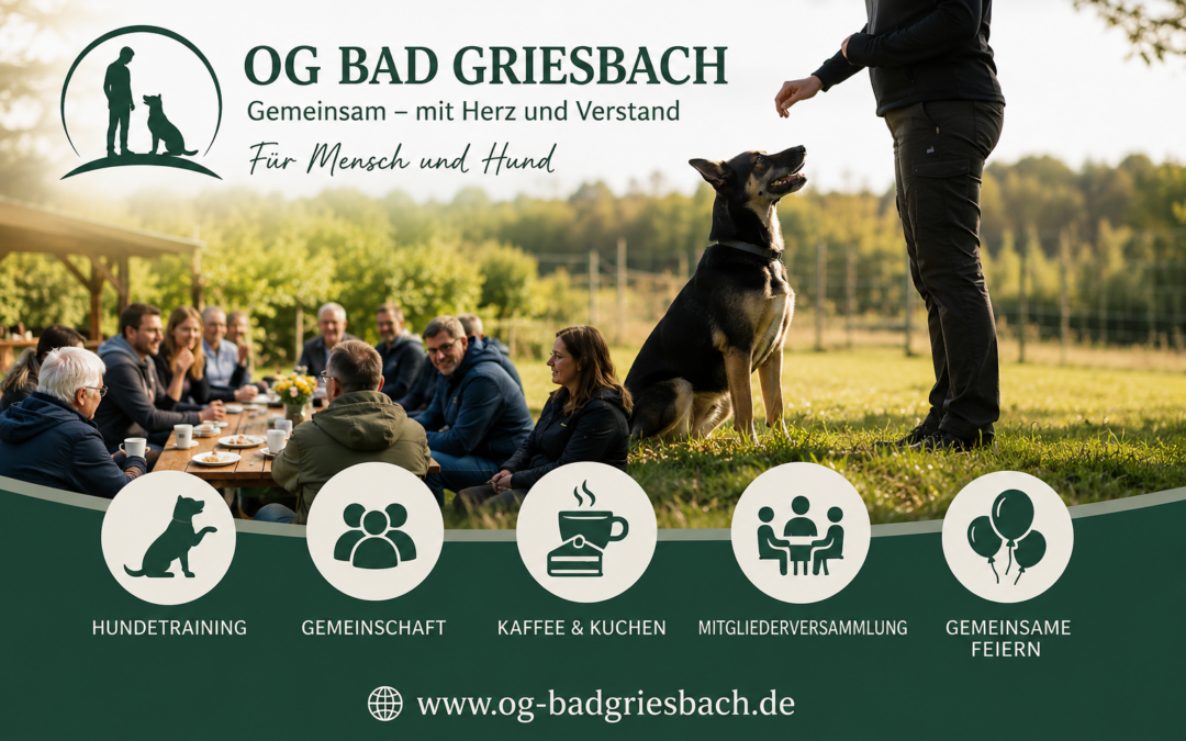 Gelungener Trainingstag mit Unterordnung, Mitgliederversammlung und gemeinschaftlichem Beisammensein