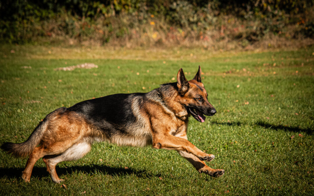 Trainingswoche bei der OG Bad Griesbach