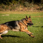 Trainingswoche bei der OG Bad Griesbach