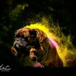 Fotoshooting mit Holyfarben
