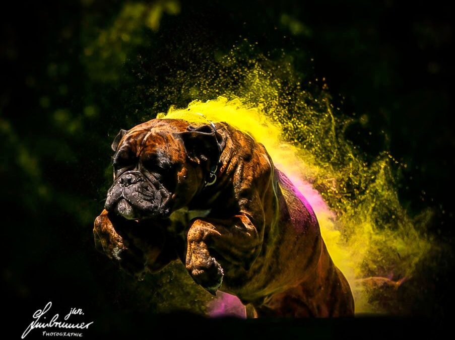 Fotoshooting mit Holyfarben