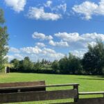 Wochenrückblick der OG Bad Griesbach 🐾
